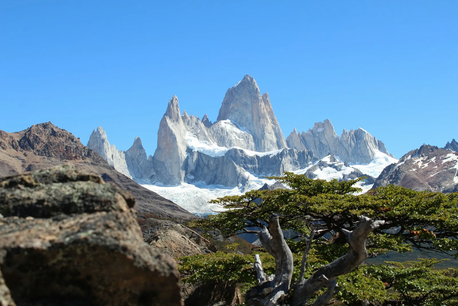 Fitz Roy entre lengas